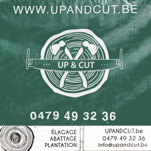 Up_Cut_500x500